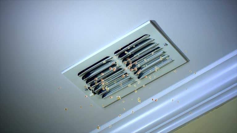 Best Affordable Duct Cleaning Services  in Fairland, MD