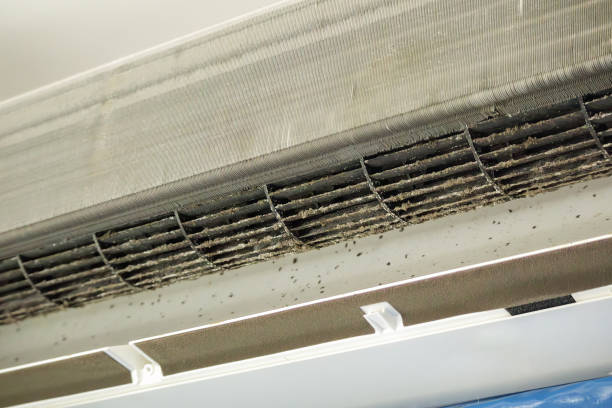 Best Professional Duct Cleaning Services  in Fairland, MD